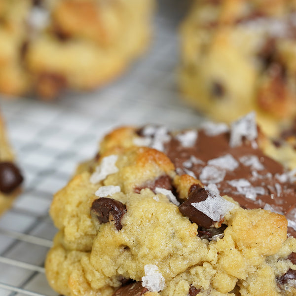 Chocolate Chip Cookie